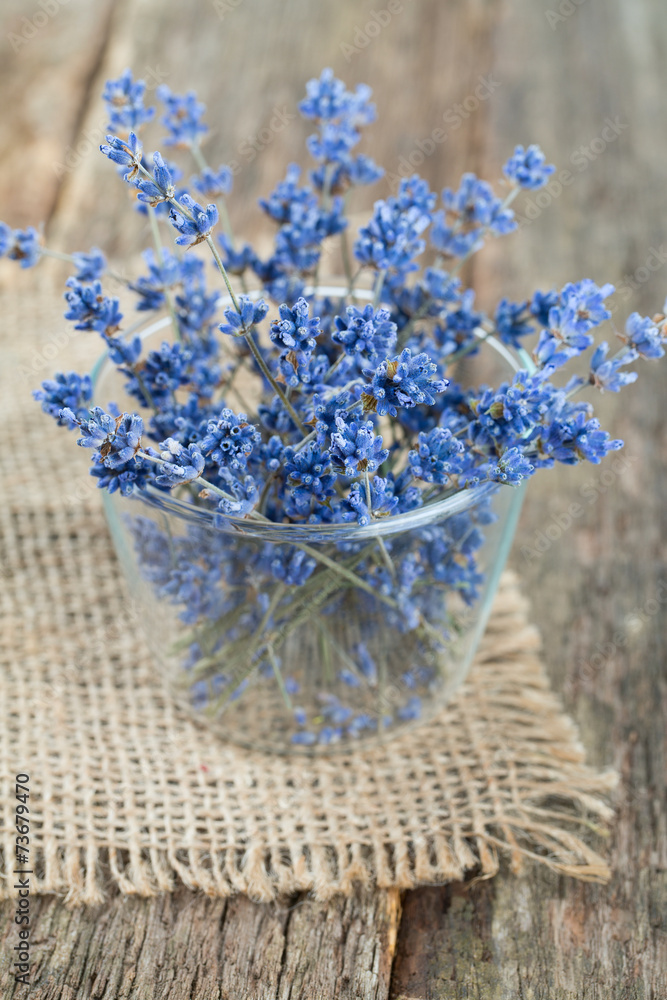 Fototapeta premium lavender flowers