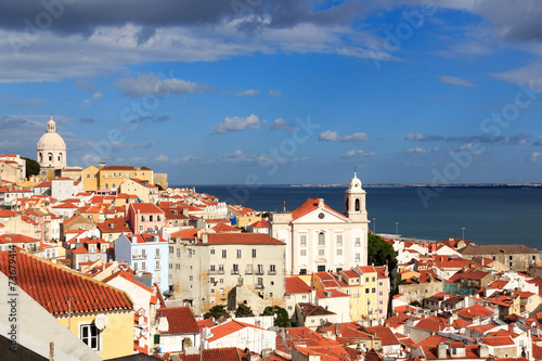 View across Alfama, Lisbon from Miradouro Santa Luzia