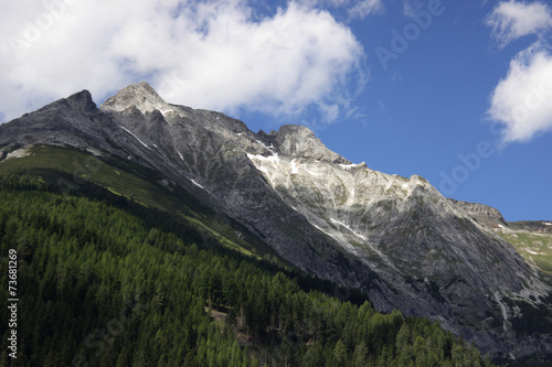 Swiss Alps in summer. A mountain landscape