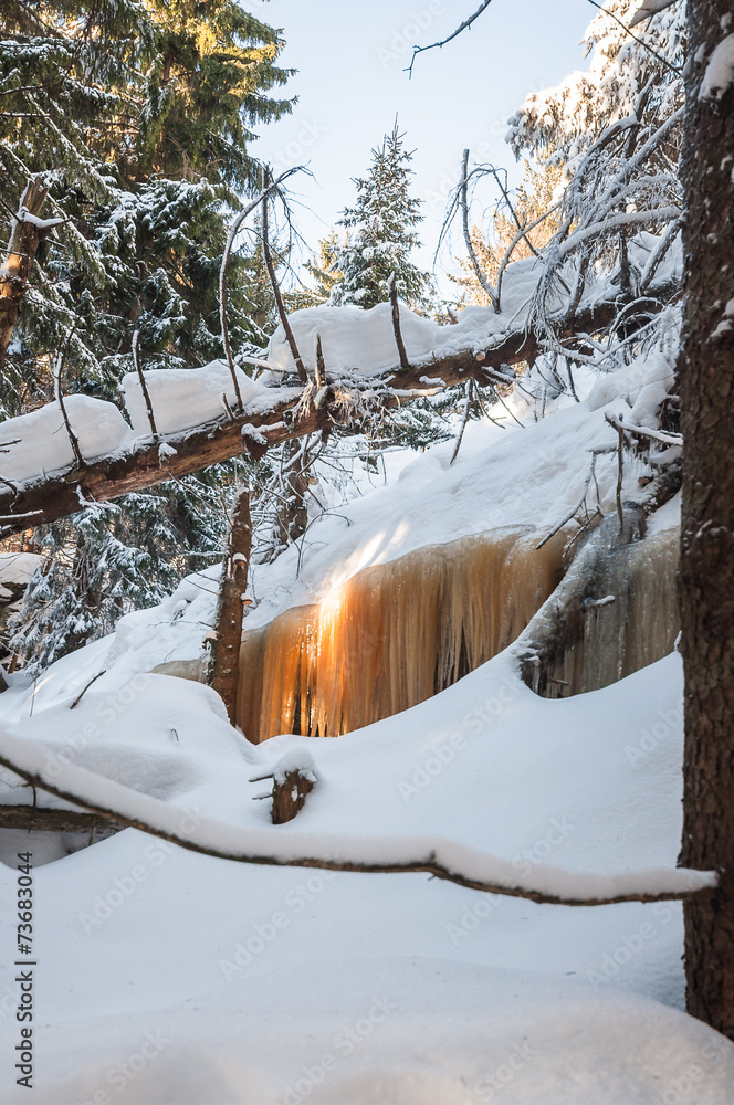 Winterlandschaft Winterlandschaft