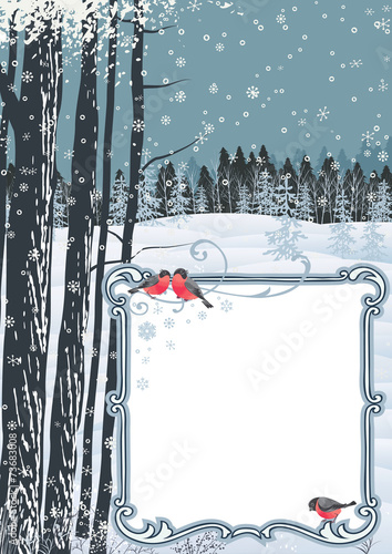 Frame on a winter landscape
