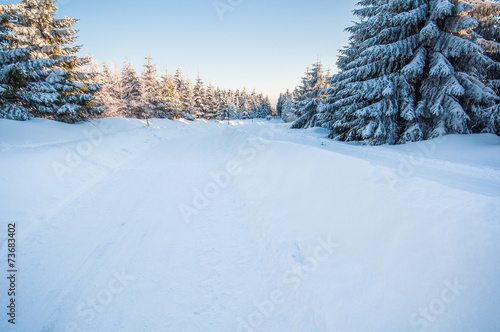 Winterlandschaft