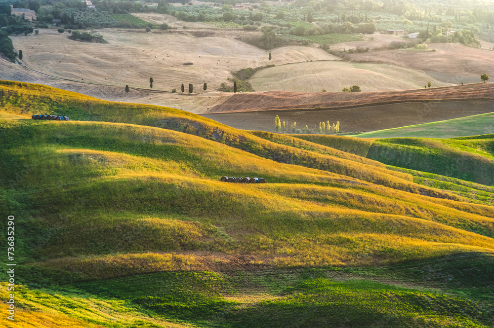 Rural field with a rising sun in Tuscany, Italy