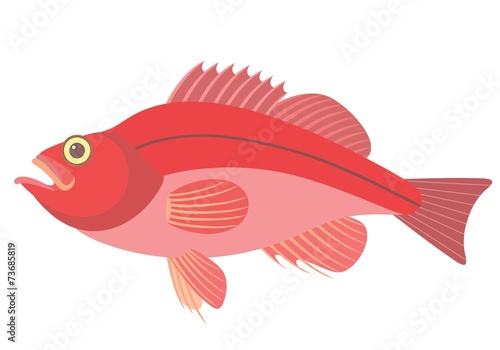 Perch