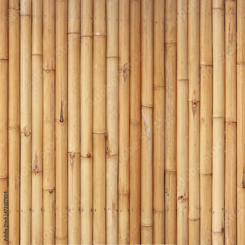 bamboo fence background © prapann