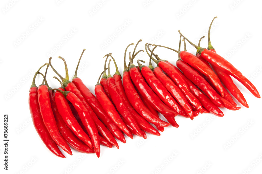 Row of Bright Red Shiny Hot Chillies Row of Bright Red Shiny Hot Chillies