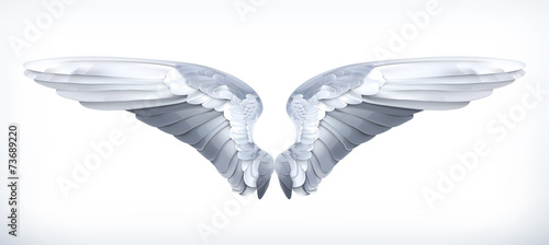 Wings, vector illustration