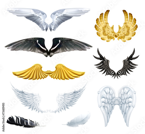 Wings, set vector illustrations
