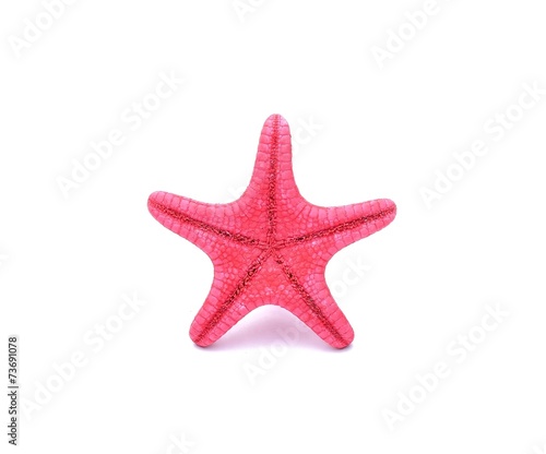 Red Starfish on white background