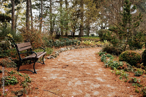 Bench in autumn park