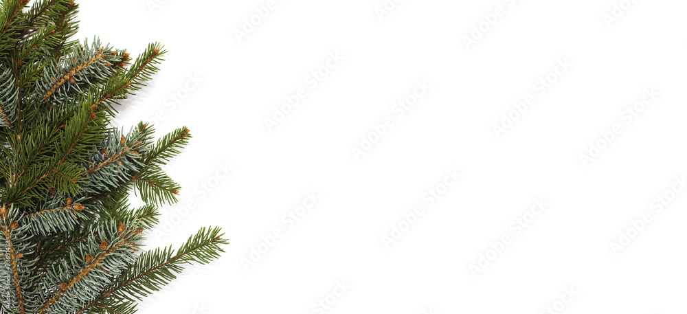 Blank Christmas card with pine needles