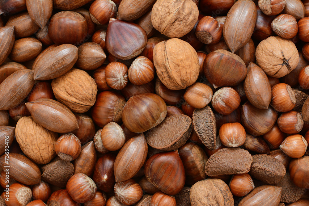 Mixed nuts - chestnuts, pecans, walnuts, brazils and hazelnuts Mixed nuts - chestnuts, pecans, walnuts, brazils and hazelnuts