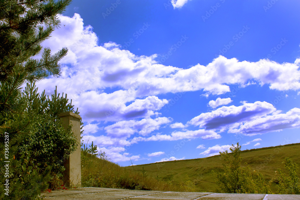Fototapeta premium Beautiful summer landscape-horizon line between