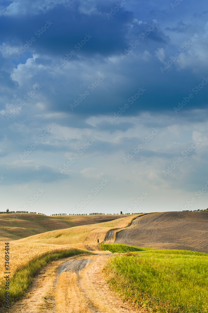 Tuscan tranquility walking on the road between fields