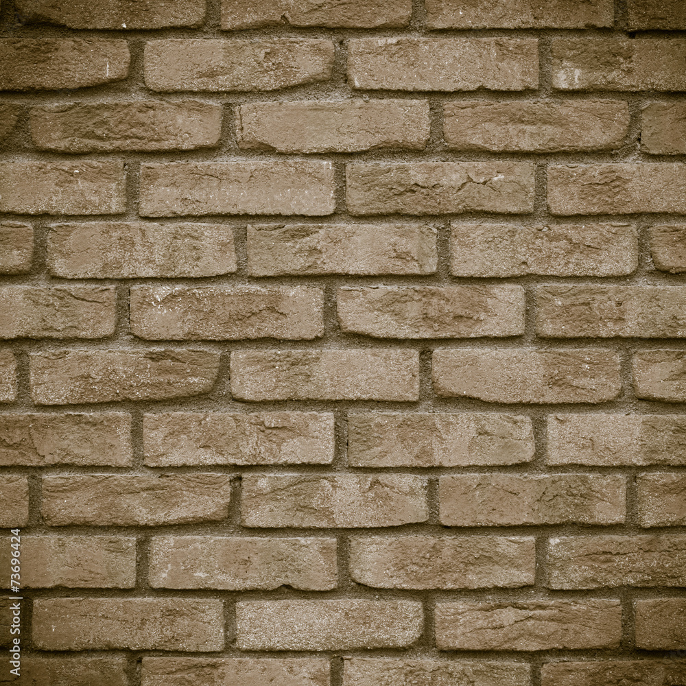 Fototapeta premium Architecture. Brick wall as texture or background