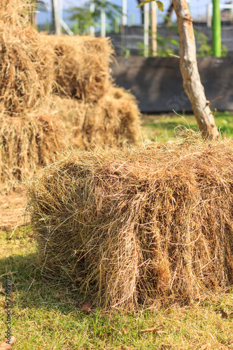 haystack in field