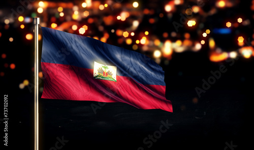 Εκτύπωση καμβά Haiti National Flag City Light Night Bokeh Background 3D