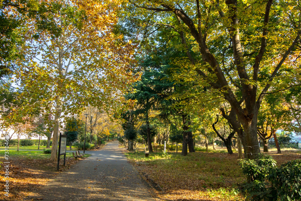 戸山公園 戸山公園