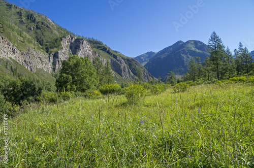 Mountain meadow. © Sergey Rybin