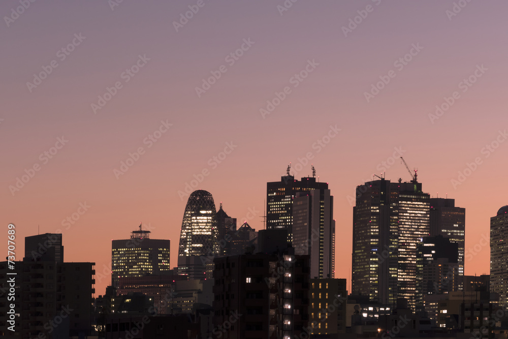 夕陽でシルエットになった新宿高層ビル群