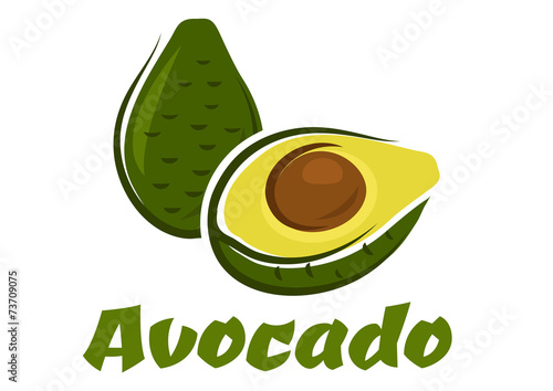 Green avocado fruit sketch
