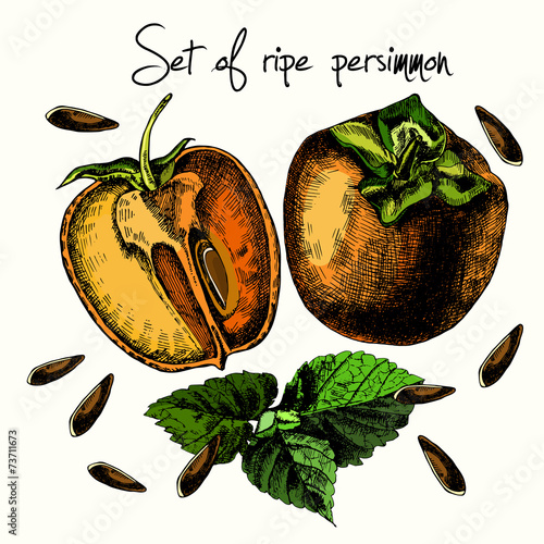 Set of ripe persimmon.