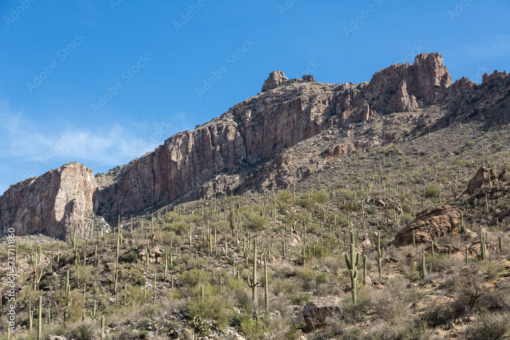 Arizona's Sabino Canyon