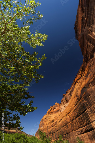 Chelly Canyon in Arizona, USA