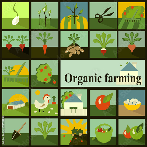 Set of icons. Organic farming