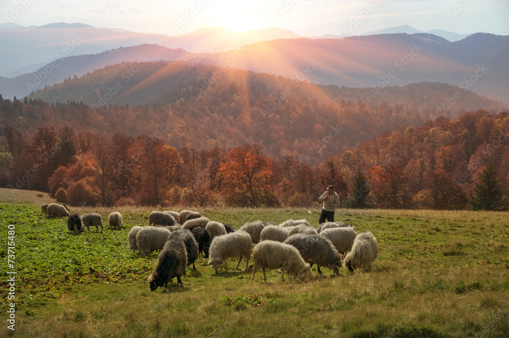 Fototapeta premium Transcarpathian pastures in autumn
