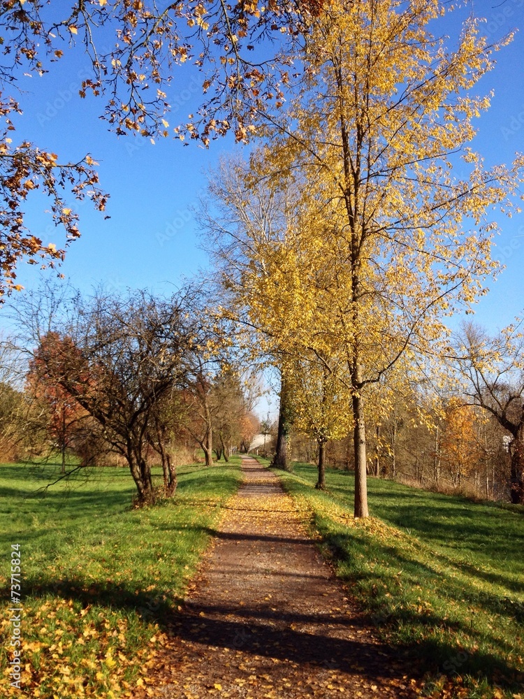 Park im Herbst