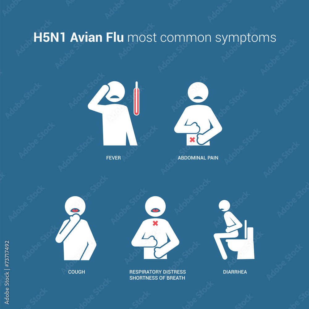 H5N1 Avian flu symptoms H5N1 Avian flu symptoms