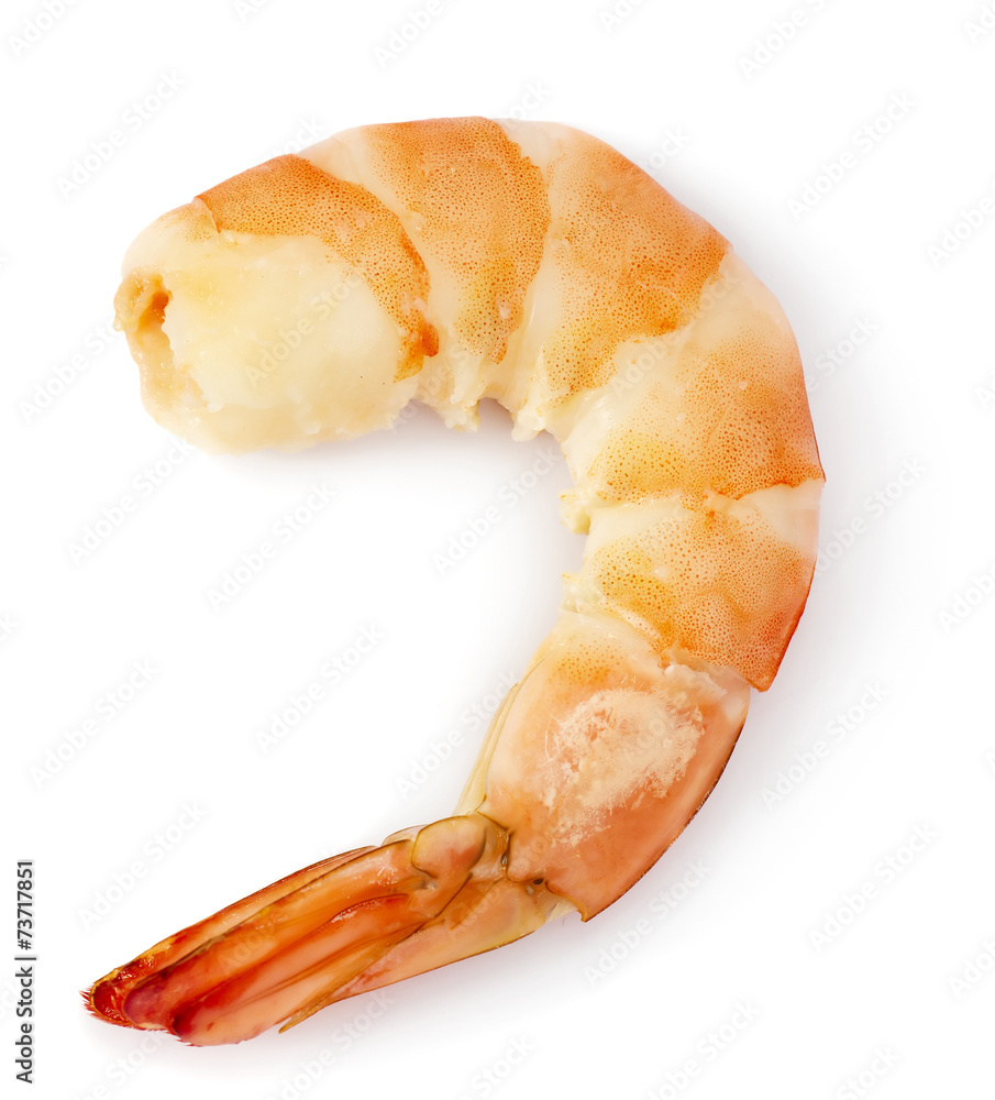 Shrimp tail