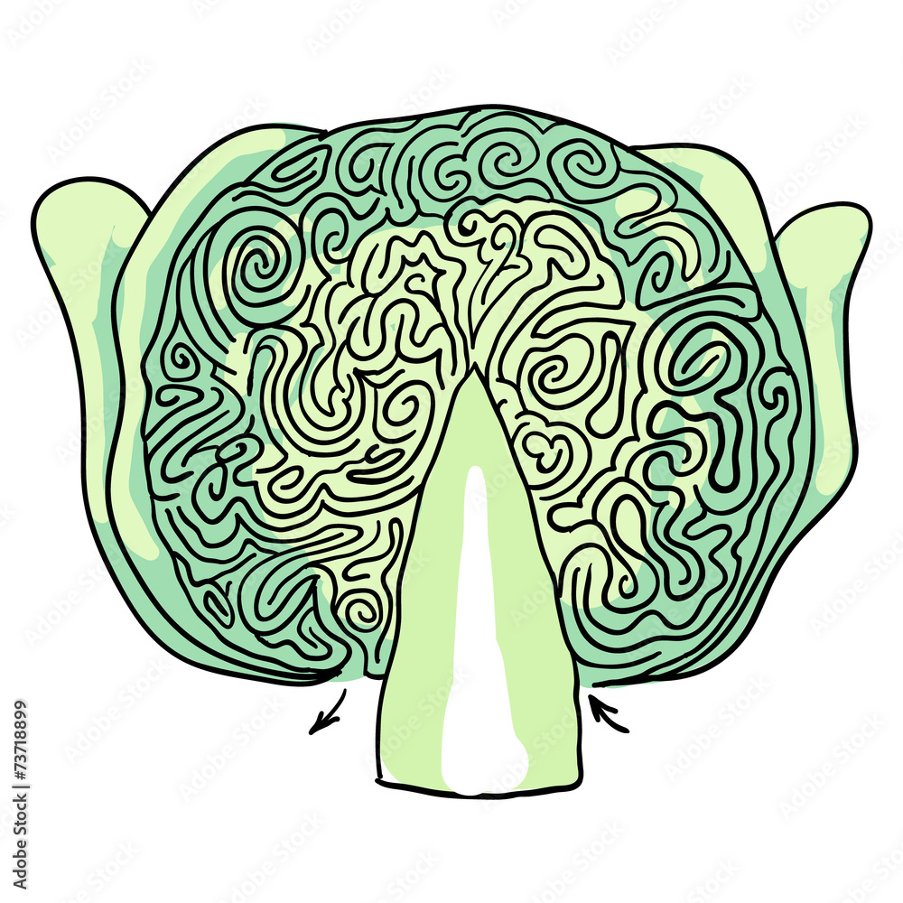 Naklejka premium cabbage maze. vector illustration