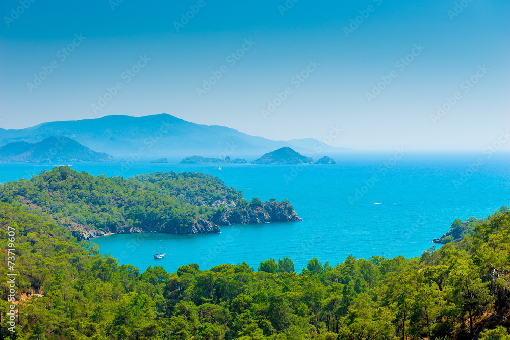 stunning seascape and pine forests on the mountains