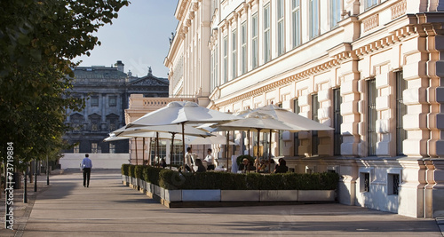 Viennese coffee house beside the famous Albertina Museum