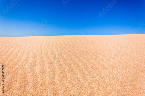 Beach Sand Dune