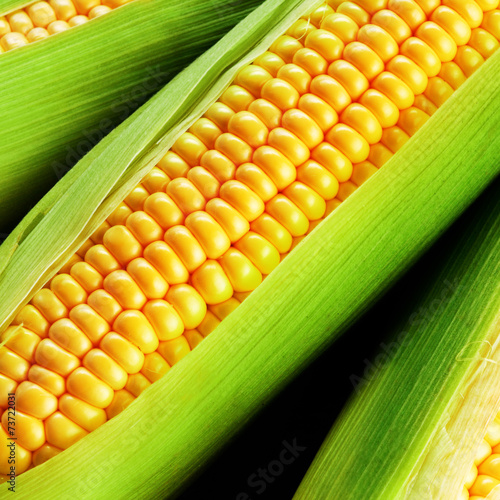 corn cob