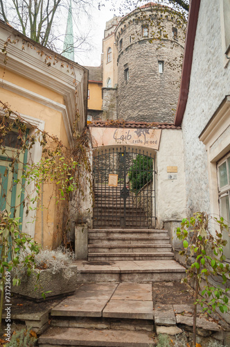 Fototapeta Naklejka Na Ścianę i Meble -  Gate and stairs to the old tower.