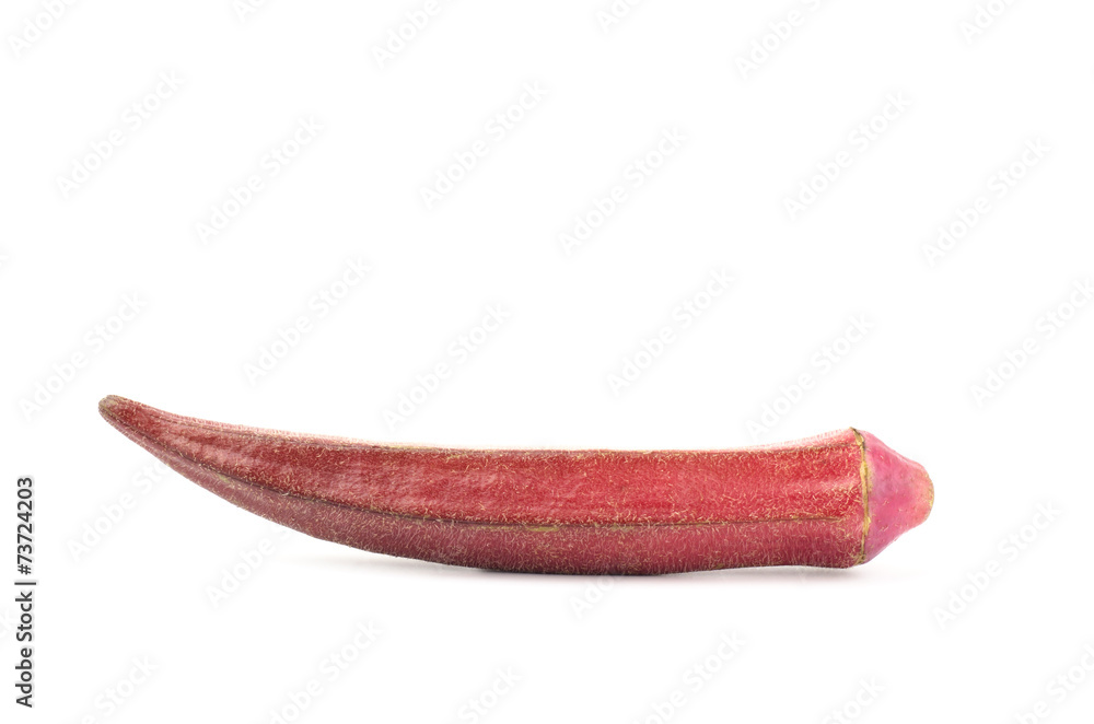 Naklejka premium Red okra