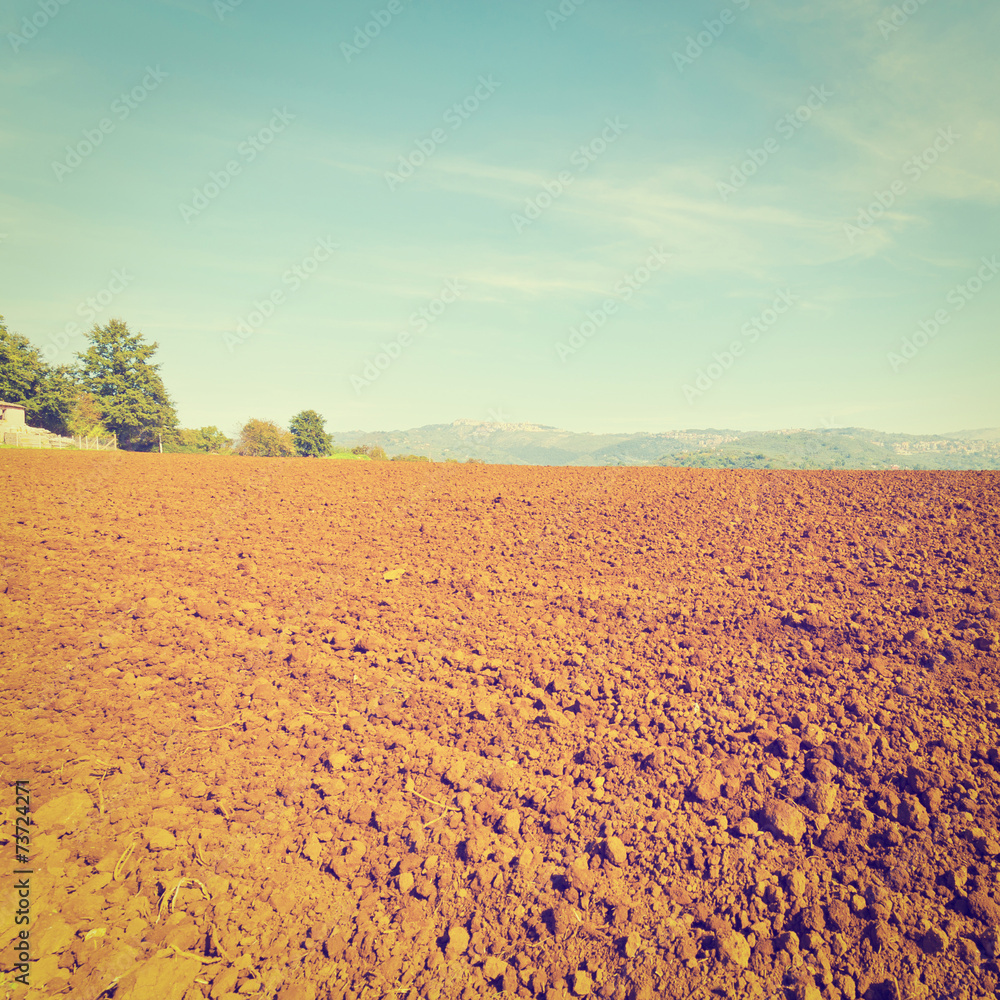 Field Field