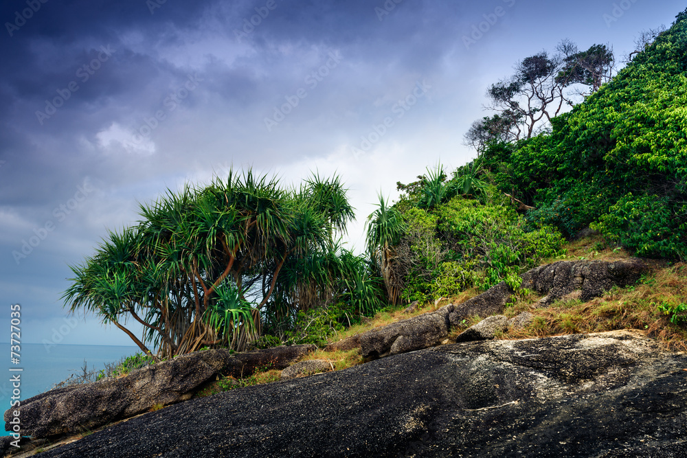 Fototapeta premium Tropical landscape. Similan islands, Thailand