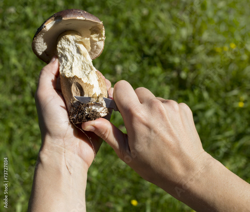Hands, mushroom and a knife