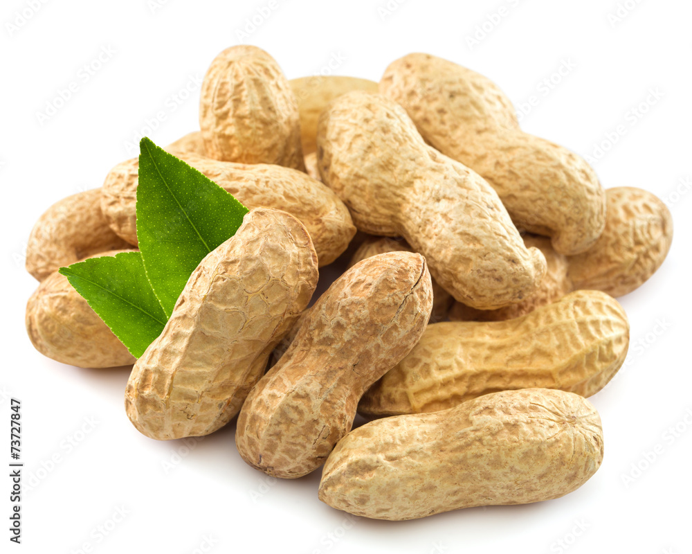 Peanuts Peanuts