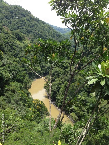 River and jungle scenery Colombia