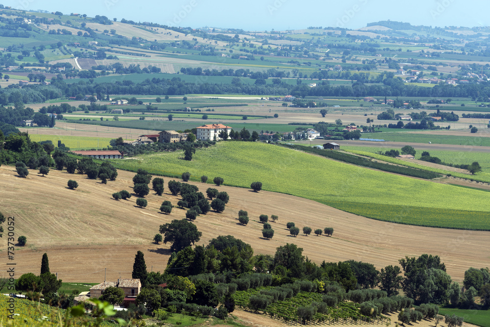 Summer landscape in Marches (Italy)