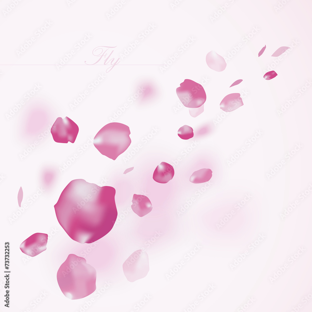 Vector background with flying petals Vector background with flying petals