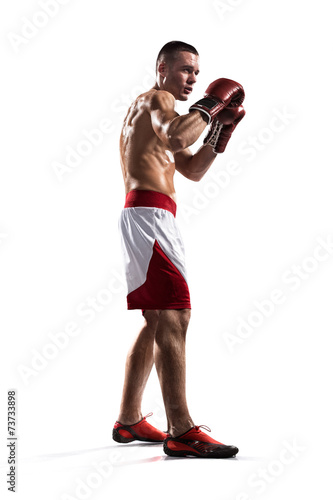 Professionl boxer is isolated on white photo