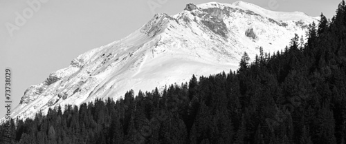 Foto grisons