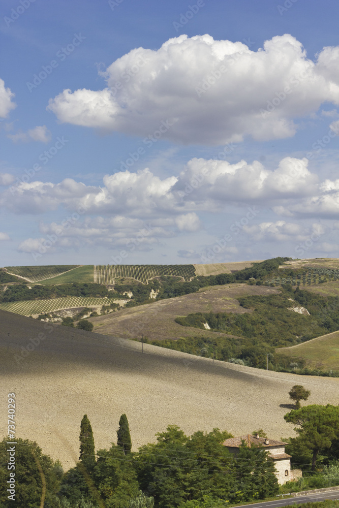 Naklejka premium Tuscany landscape in a sunny day 